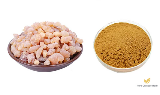 Frankincense Olibanum Extract 10:1 | Boswellia Carterii Extract | Ru Xiang-Pure Chinese Herb™