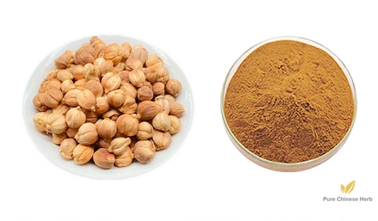 Fructus Amomi Rotundus Extract 20:1 | Round Cardamom Fruit | Sha Ren-Pure Chinese Herb™