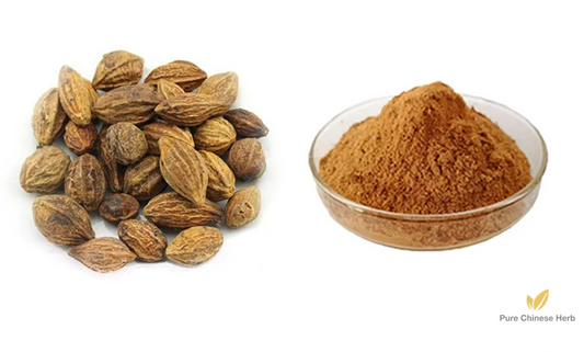 Fructus Chebulae Extract 20:1 | Terminalia Chebula Fruit Extract | He Zi-Pure Chinese Herb™
