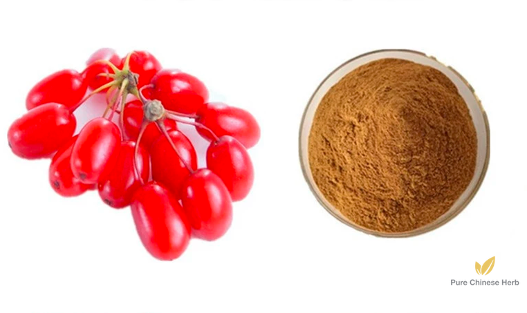 Fructus Corni Extract 20:1 | Common Macrocarpium Fruit Extract | Shan Zhu Yu-Pure Chinese Herb™