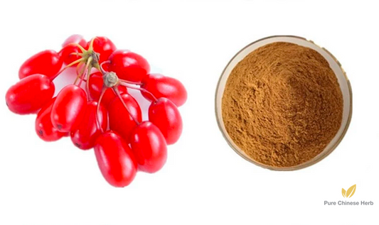Fructus Corni Extract 20:1 | Common Macrocarpium Fruit Extract | Shan Zhu Yu-Pure Chinese Herb™
