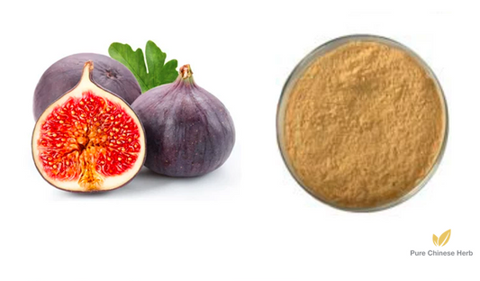 Fructus Fici Extract 20:1 | Fig Fruit Extract | Wu Hua Guo-Pure Chinese Herb™