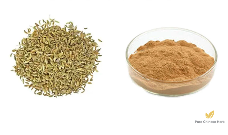Fructus Foeniculi Extract 20:1 | Fennel Fruit | Hui Xiang Guo-Pure Chinese Herb™