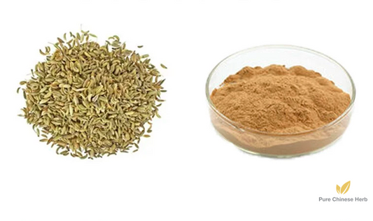 Fructus Foeniculi Extract 20:1 | Fennel Fruit | Hui Xiang Guo-Pure Chinese Herb™