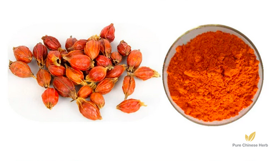 Fructus Gardeniae Extract 20:1 | Cape Jasmine Fruit Extract | Zhi Zi-Pure Chinese Herb™