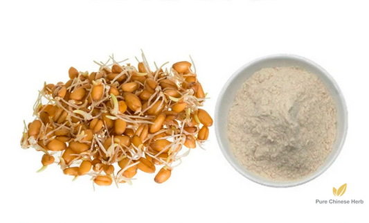 Fructus Hordei Germinatus Extract 20:1 | Malt | Mai Ya-Pure Chinese Herb™