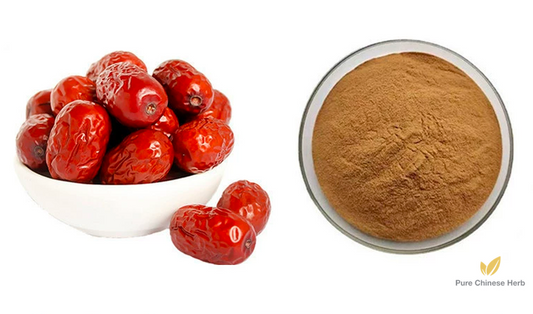 Fructus Jujubae Extract 20:1 | Chinese Date Extract | Hong Zao-Pure Chinese Herb™