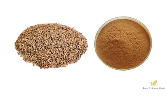 Fructus Kochiae Extract 20:1 | Belvedere Fruit Extract | Di Fu Zi-Pure Chinese Herb™