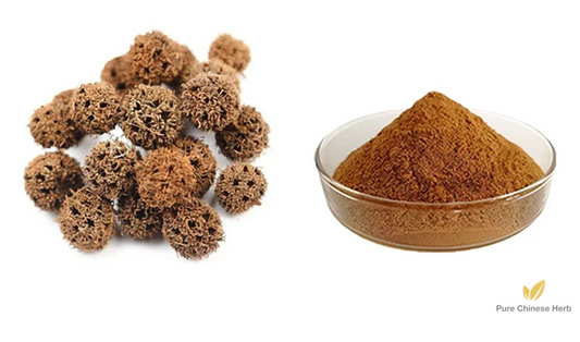 Fructus Liquidambaris Extract 20:1 | Beautiful Sweetgum Fruit Extract | Feng Xiang Gou-Pure Chinese Herb™
