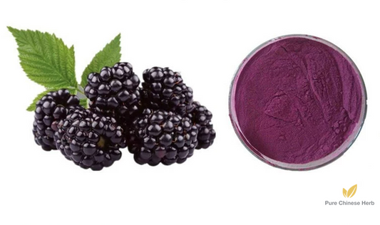 Fructus Mori Extract 20:1 | Mulberry Fruit | Sang Shen-Pure Chinese Herb™