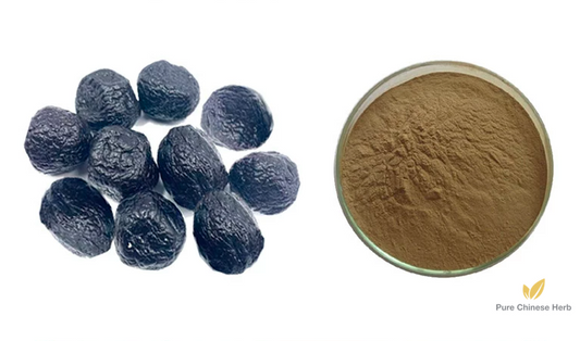 Fructus Mume Extract 20:1 | Dark Plum Fruit Extract | Wu Mei-Pure Chinese Herb™