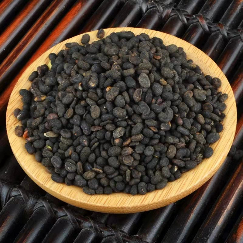 Fructus Psoraleae Powder Malaytea Scurfpea Fruit Herb Powder Bu Gu Zhi Fen-Pure Chinese Herb™