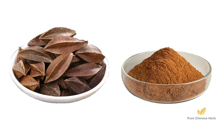 Fructus Quisqualis Extract 20:1 | Rangoon Creeper Fruit | Shi Jun Zi-Pure Chinese Herb™