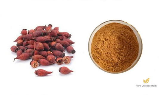 Fructus Rosae Laevigatae Extract 20:1 | Cherokee Rose Fruit | Jin Ying Zi-Pure Chinese Herb™