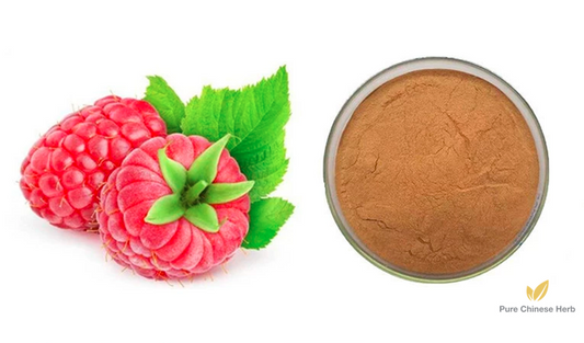 Fructus Rubi Extract 20:1 | Palmleaf Raspberry Fruit Extract | Fu Pen Zi-Pure Chinese Herb™