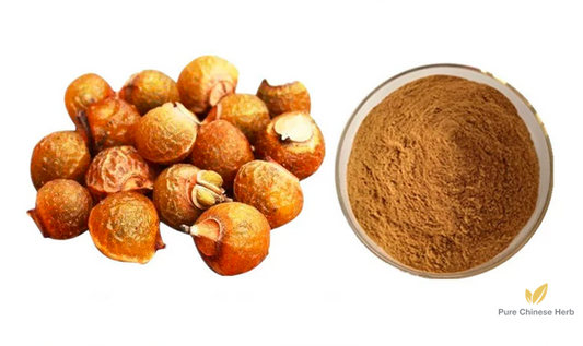 Fructus Sapindi Mukorossi Extract 20:1 | Chinese Soapberry Fruit | Wu Huan Zi Gou-Pure Chinese Herb™