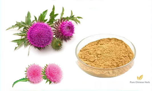 Fructus Silybi Extract 20:1 | Concentrated Milk Thistle Fruit Extract | Shui Fei Ji-Pure Chinese Herb™