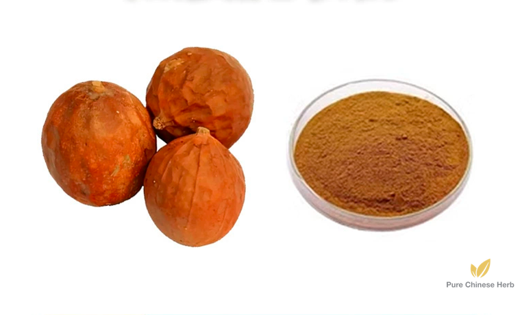 Fructus Trichosanthis Extract 20:1 | Snakegourd Fruit Extract | Gua Lou Shi-Pure Chinese Herb™