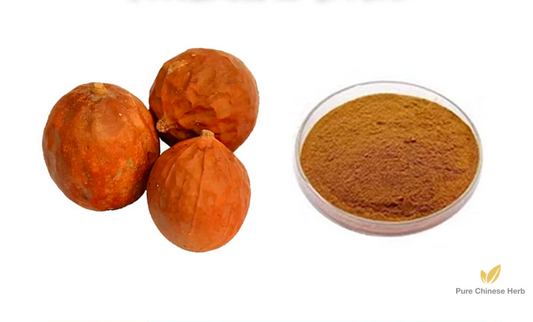 Fructus Trichosanthis Extract 20:1 | Snakegourd Fruit Extract | Gua Lou Shi-Pure Chinese Herb™