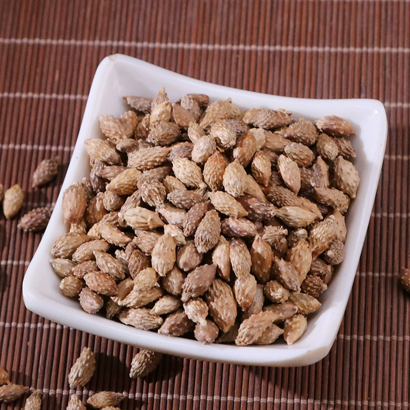 Fructus Xanthii Powder Siberian Cocklour Fruit Herb Powder Cang Er Zi Fen-Pure Chinese Herb™