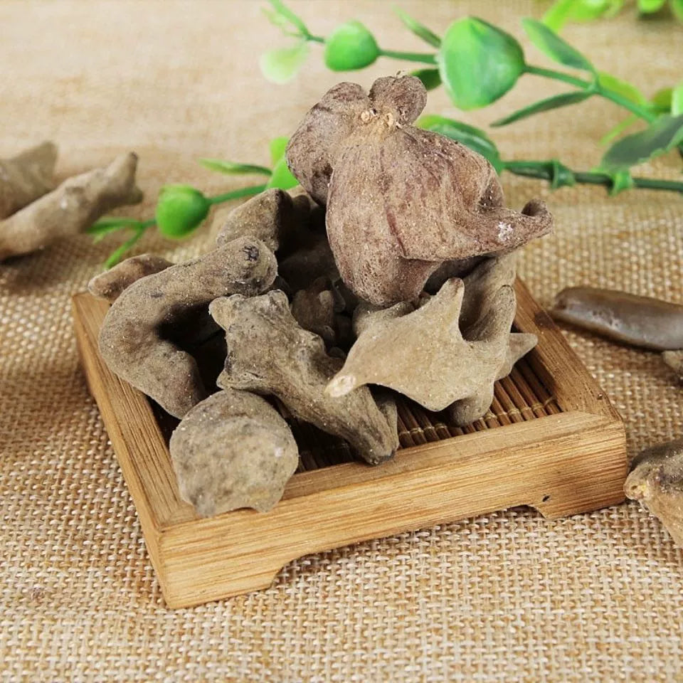 Galla Chinensis Powder Chinese Gall Herb Powder Wu Bei Zi Fen-Pure Chinese Herb™