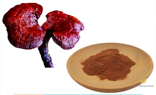 Ganoderma Lucidum Polysaccharide 40% | Lucid Ganoderma Extract | Ling Zhi-Pure Chinese Herb™