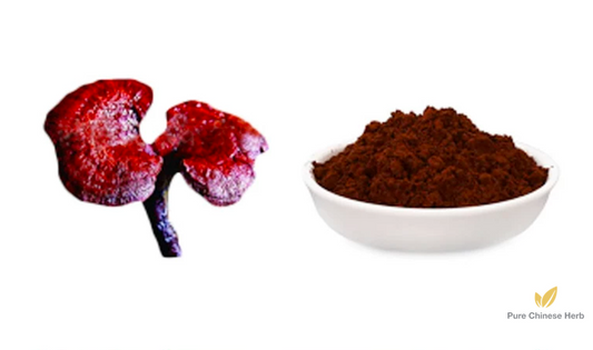 Ganoderma Spore Extract | Ling Zhi Bao Zi-Pure Chinese Herb™