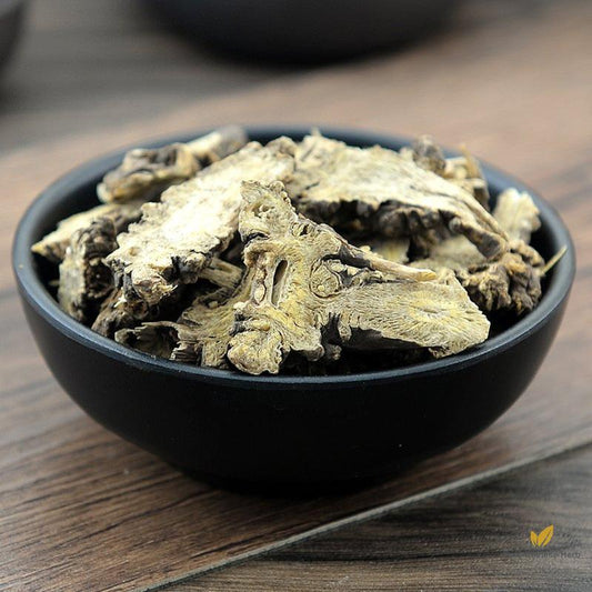 Gao Ben Chinese Ligusticum Rhizome Rhizoma Ligustici Jehol Ligusticum Rhizome-Pure Chinese Herb™