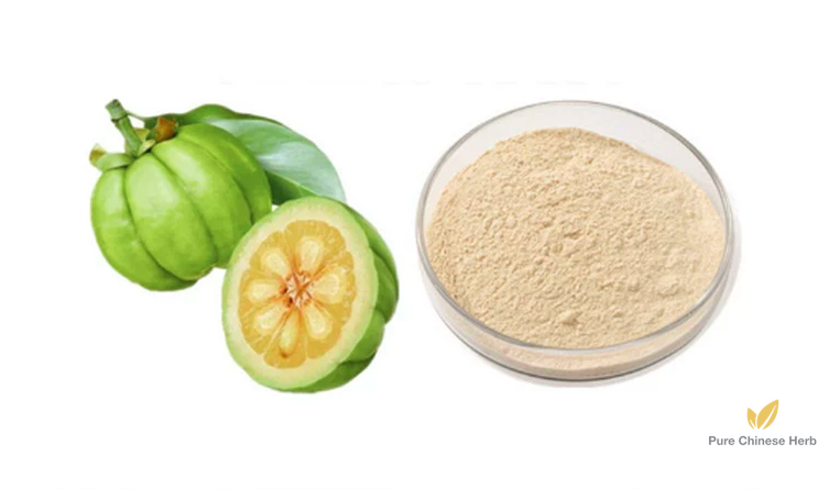 Garcinia Cambogia Extract HCA 60% | Luo Wang Zi-Pure Chinese Herb™