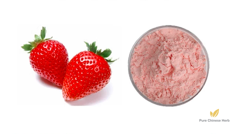 Garden Strawberry Extract 20:1 | Fragaria × Ananassa | Cao Mei-Pure Chinese Herb™