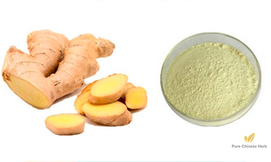 Ginger Extract 20:1 | Rhizoma Zingiberis Recens Extract | Sheng Jiang-Pure Chinese Herb™