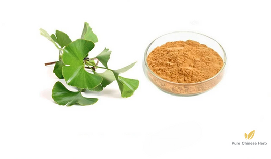 Ginkgo Leaf Extract 20:1 | Folium Ginkgo Extract | Yin Xing Ye-Pure Chinese Herb™