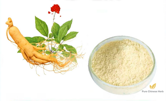 Ginseng Extract 20:1 | Radix Ginseng Extract | Ren Shen-Pure Chinese Herb™