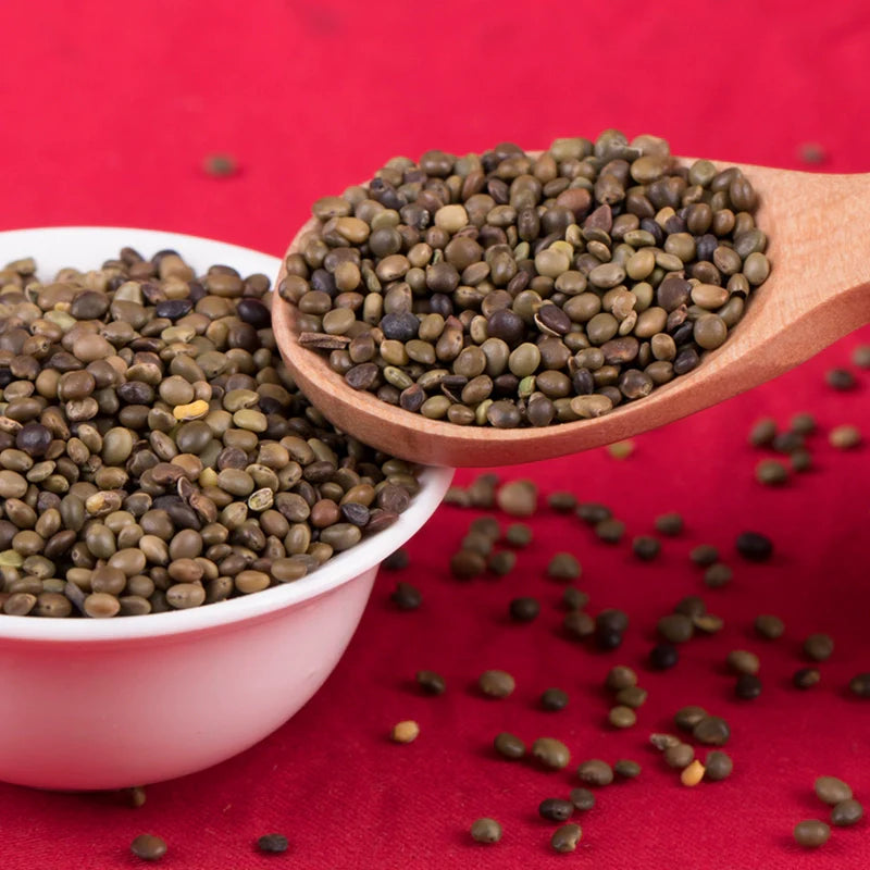 Glycyrrhiza Uralensis Seeds | Chinese Liquorice | Gan Cao | 200pcs/bag-Pure Chinese Herb™