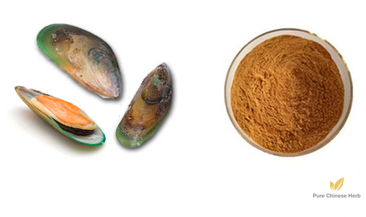 Green Lipped Mussel Extract 20:1 | Perna canaliculus | Lv Chun Yi Bei-Pure Chinese Herb™