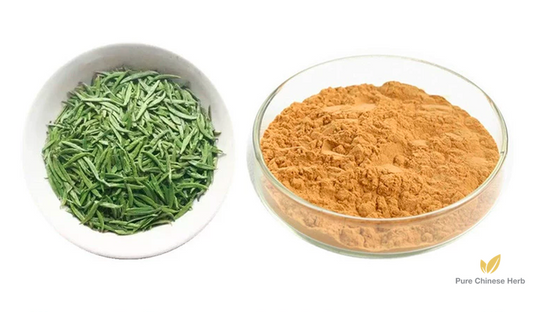 Green Tea Polyphenols Extract 98% | GTP | Lv Cha-Pure Chinese Herb™