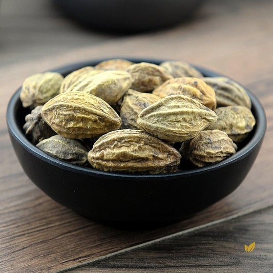 He Zi Medicine Terminalia Fruit Fructus Chebulae Terminalia Chebula Retz.-Pure Chinese Herb™