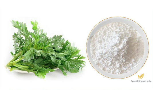 Herba Artemisiae Apiaceae Extract | Artesunate 99% | Qing Hao-Pure Chinese Herb™