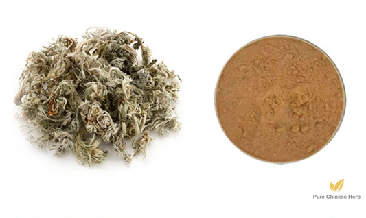 Herba Artemisiae Scopariae Extract 20:1 | Virgate Wormwood Extract | Yin Chen-Pure Chinese Herb™