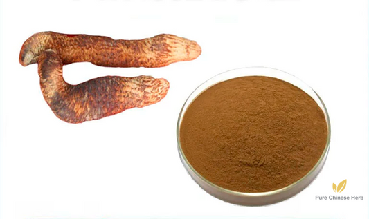 Herba Cistanche Extract 20:1 | Desertliving Cistanche Extract | Rou Cong Rong-Pure Chinese Herb™