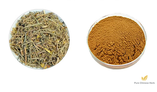 Herba Crotalariae Extract 20:1 | Purpleflower Crotalaria Herb Extract | Zi Hua Zhu Shi Dou-Pure Chinese Herb™