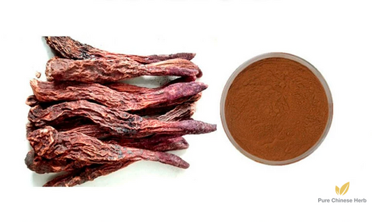 Herba Cynomorii Extract 20:1 | Songaria Cynomorium Herb Extract | Suo Yang-Pure Chinese Herb™