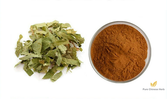 Herba Epimedii Extract 20:1 | Concentrated Epimedium Herb Extract | Yin Yang Huo-Pure Chinese Herb™
