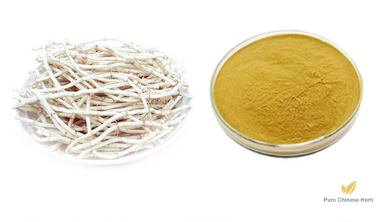 Herba Houttuyniae Extract 20:1 | Heartleaf Houttuynia Herb Extract | Yu Xing Cao-Pure Chinese Herb™