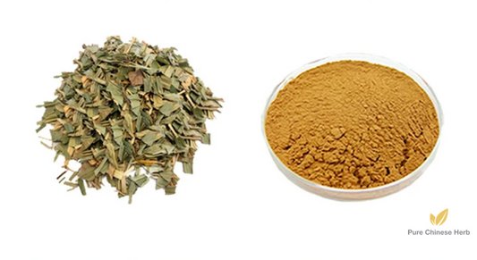 Herba Lophatheri Extract 20:1 | Common Lophatherum Herb | Dan Zhu Ye-Pure Chinese Herb™