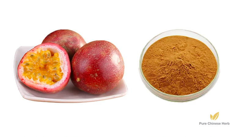 Herba Passiflorae Coeruleae Extract 20:1 | Passionflower Herb Extract | Xi Fan Lian-Pure Chinese Herb™