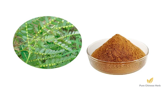 Herba Phyllanthi Urinariae Extract 20:1 | Common Leafflower Herb | Di Dan Cao-Pure Chinese Herb™