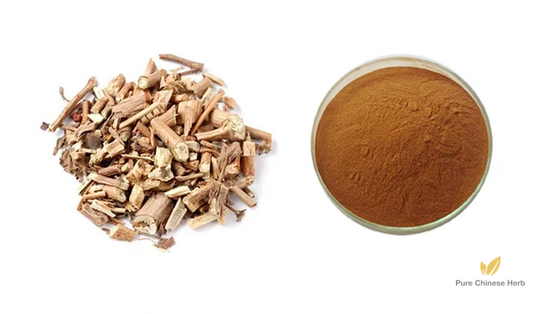 Herba Pogostemonis Extract 20:1 | Cablin Patchouli Herb | Guang Huo Xiang-Pure Chinese Herb™