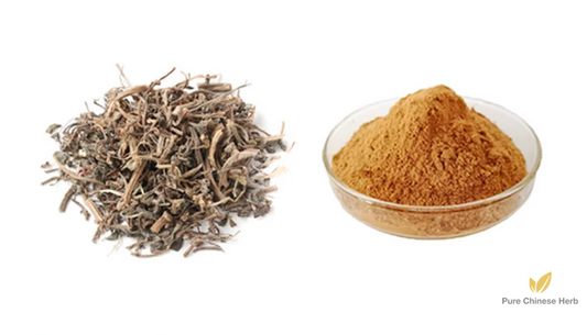Herba Portulacae Extract 20:1 | Purslane Herb Extract | Ma Chi Xian-Pure Chinese Herb™