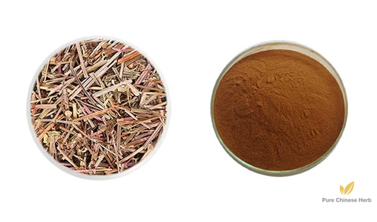 Herba Scutellariae Barbatae Extract 20:1 | Barbed Skullcap Herb | Shan Zhi Cao-Pure Chinese Herb™